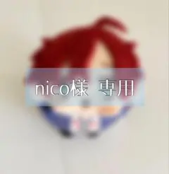 【キャンセル後】nico様 専用