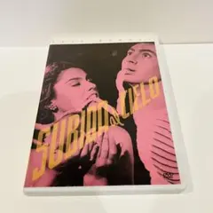 昇天峠('51メキシコ) セルDVD