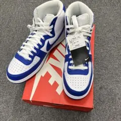 NIKE ターミネーター HIGH FN6836-100