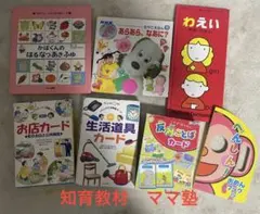 知育教材 幼児向け　公文カード　絵本など 知識と語彙を豊かにし優しく学ぶために。