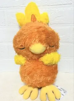 楽天市場】ポケモンセンターオリジナル ぬいぐるみ アチャモ12 x 26 x