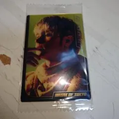 BATTLE OF TOKYO THE RAMPAGE与那嶺瑠唯さんトレカ