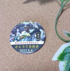 阪神タイガース イチオシ 缶バッチ ひらがなデー さとう 8