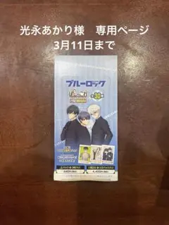 光永あかり様　専用ページ　3月11日まで購入お願いします