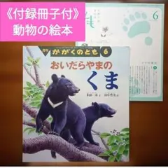 《付録冊子つき》かがくのとも　おいだらやまのくま　2011年6月号　動物の絵本