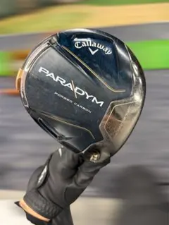 2025年最新】パラダイム ヘッドのみの人気アイテム - メルカリ