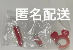 TWICE LOVELYS アクリルカラビナフロッキーマスコット チェヨン