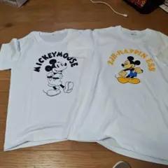 Item thumbnail for item 8451b915-2657-47bd-b2f7-f7419fd4d802