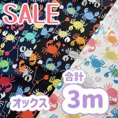 ★SALE★合計3m★蟹座・オックス★カニ・星座★黒 紺 生成り★