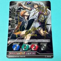 牛島若利バボカ Amazon.co.jp: ハイキュー!! バボカ 第7弾 頂バボ 牛島若利