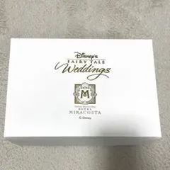 ホテルミラコスタ タオル2枚セット