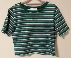 WEGO美品リブボーダーチビTシャツ緑フリーサイズ夏トレンドのサムネイル