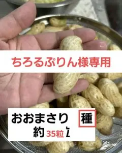 ちろるぷりん様専用ページ　おおまさり　種　約35粒