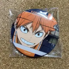 2025年最新】日向翔陽缶バッジの人気アイテム - メルカリ