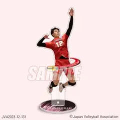 高橋藍 アクリルスタンド 背番号12