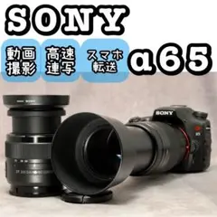 2026年最新】α65 レンズの人気アイテム - メルカリ