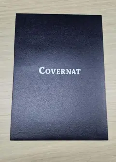 スビン アイドル