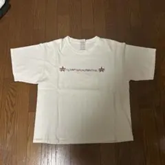 FRUIT OF THE LOOM Tシャツ Lサイズ