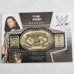 WWE ミズ　カード