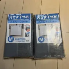 Item thumbnail for item 9eee0e85-9b88-498c-84e0-d5d9999fd25f