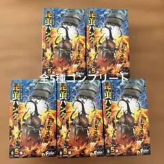 カブトムシ×クワガタ　昆虫ハンター　全5種コンプリート　昆虫大決戦