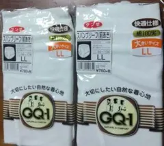 グンゼ スパンブリーフ 前あき LLサイズ 2枚セット