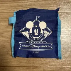 ディズニーリゾート　エコバッグ