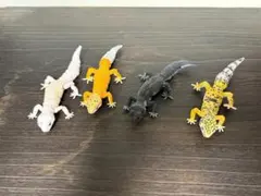 Item thumbnail for item 8246335b-f583-4dac-82be-c63959ecda03