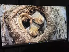 2026年最新】Dell alienware aw2523hfの人気アイテム - メルカリ