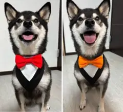 タキシード風バンダナ 犬用 猫用 バンダナ ハンドメイド