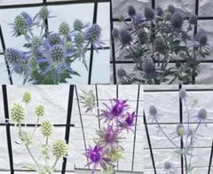 ひつじ雲様 リクエスト 3点 まとめ商品