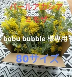 bobu bubble 様専用　パールアカシアフレッシュ80サイズ