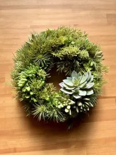 多肉植物 円形アレンジメント 30cm リース - メルカリ