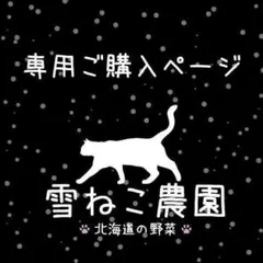 やまやまどもども様 リクエスト 2点 まとめ商品（ペパーミント１００×２）