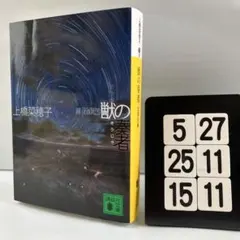 獣の奏者 3探求編 5-27*25.15*11