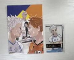 ハイキュー ファンパーク ポストカードブック 星海 鴎台
