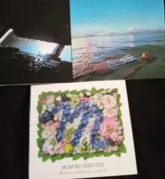 菊池桃子 プレミアム・コレクション BRAND DVD&CDボックス第二弾