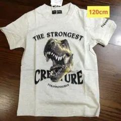 Item thumbnail for item 06080171-e2d7-445e-b67a-8798e9858820