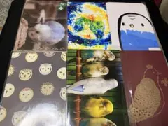 Item thumbnail for item 77dc2339-dbbd-4cd6-ba50-8200ae869780