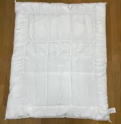 Item thumbnail for item 55a9017f-551d-41c7-a085-1e98484435e6