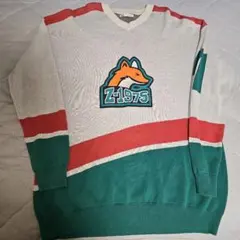 ZARA Vネックニット メンズ