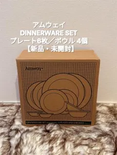 アムウェイ ディナーウェア プレート6枚 ボウル4枚 新品未開封品