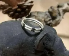 Item thumbnail for item 68d71735-5ca0-4856-b811-0f6a66a7e9b0