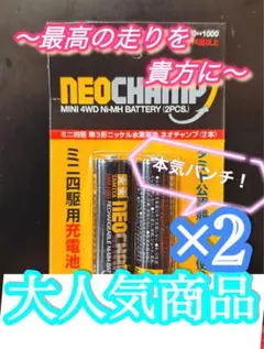 タミヤ ネオチャンプ 28本セット ミニ四駆用充電池 ケース付き - メルカリ