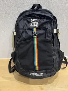 【値下・送料込】Chums Spring Dale 25 リュック チャムス
