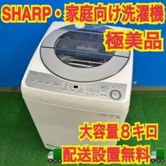 337 関東圏 洗濯機 9kg 穴無し槽 極美品 インバーター搭載 3ヶ月保証