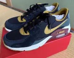 Nike Air Max スニーカー