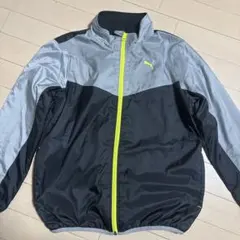 PUMA キッズ ジャンパー150