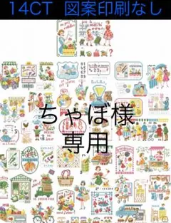 ちゃぼ様専用　ショッピング図案集(14CT、図案印刷なし)