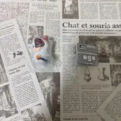 僕のヒーローアカデミア おくるみマスコットチャーム 轟焦凍 ガチャガチャ